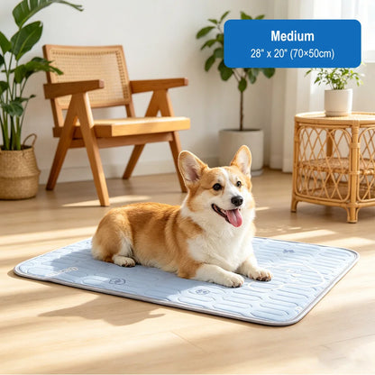 ChillPaw™ Cooling Mat